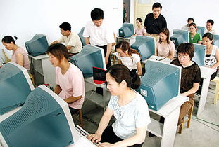 东海劳动力市场 免费计算机技术培训助力下岗人员再就业